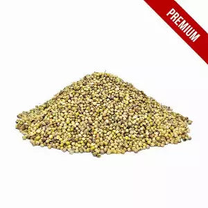 Dhanya sabat 100g