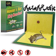 Mouse Glue Trap