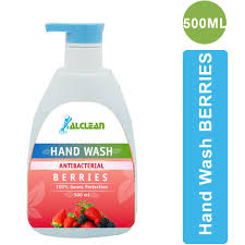 HO BB Hand Wash 500ml